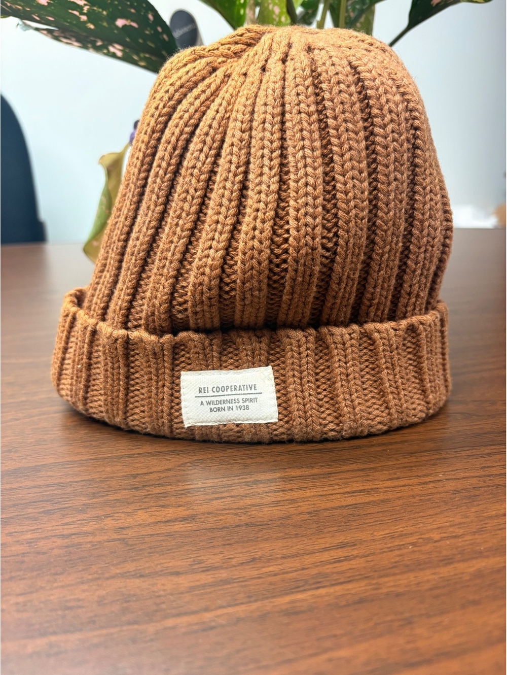 REI Cooperative Unisex Knit Beanie Hat - One Size, Brown